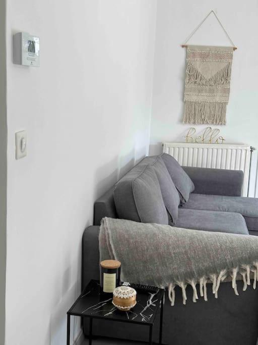 Charmant T3 Moderne Climatise Βιλερμπάν Εξωτερικό φωτογραφία